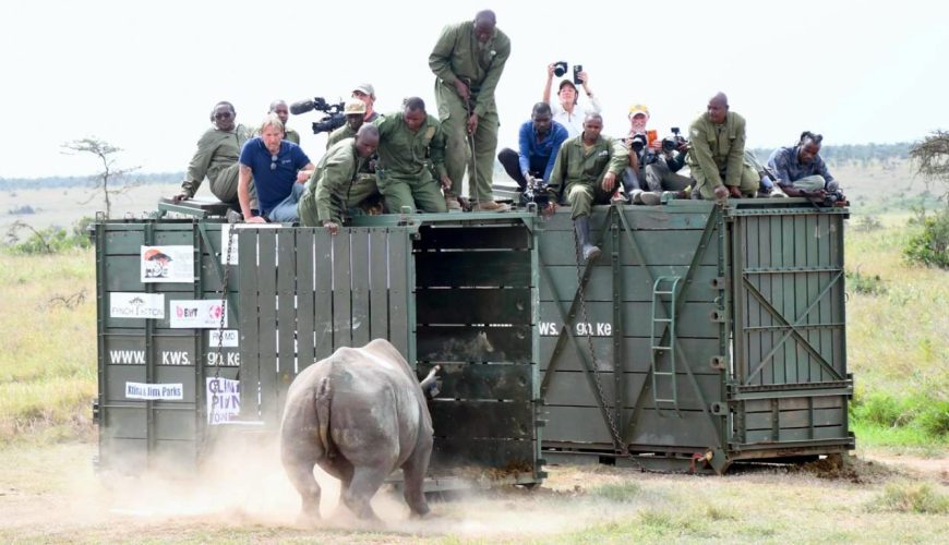 The recent Segera Rhino translocation initiative, will see 21 critically endangered eastern black rhinos moved to the 50,000-acre conservancy.