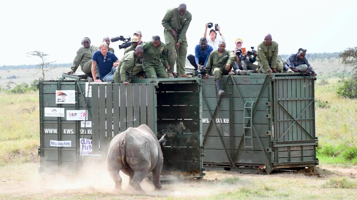 The recent Segera Rhino translocation initiative, will see 21 critically endangered eastern black rhinos moved to the 50,000-acre conservancy.