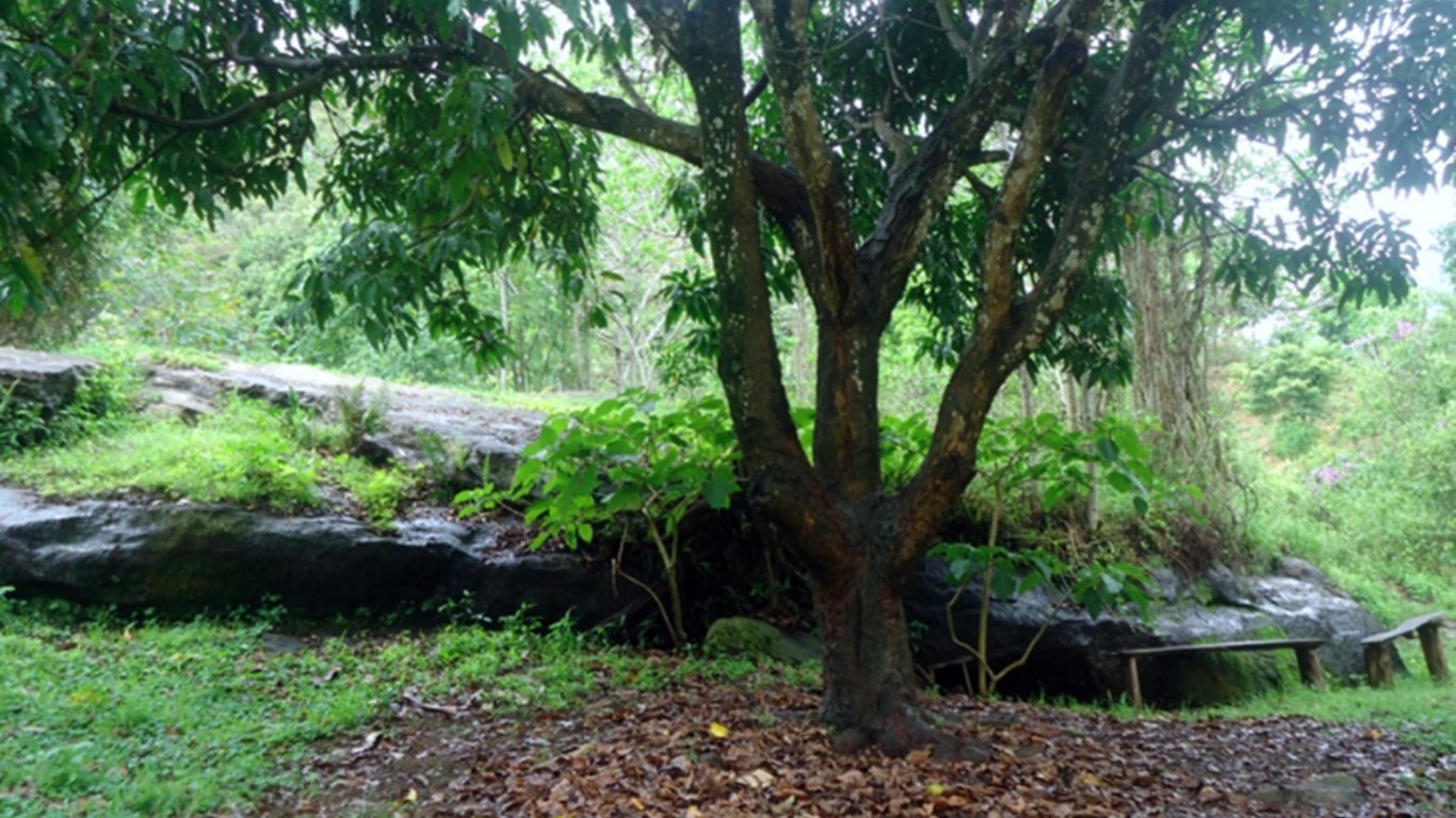 Upon entering the caves, you will discover, to your right, a charming spot where the freedom fighters would gather to soak in the sun after their engaging discussions.