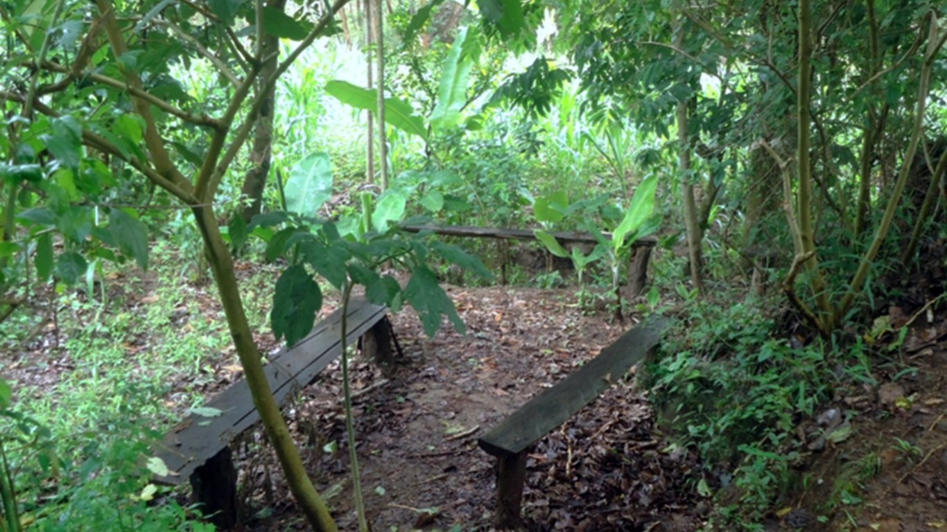 This is the site of the intestinal analysis which was conducted under the guidance of a prophet named Mwakishaluwa Mkamba.
