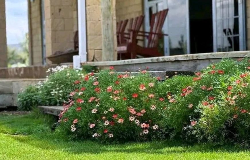 La sholei cottage