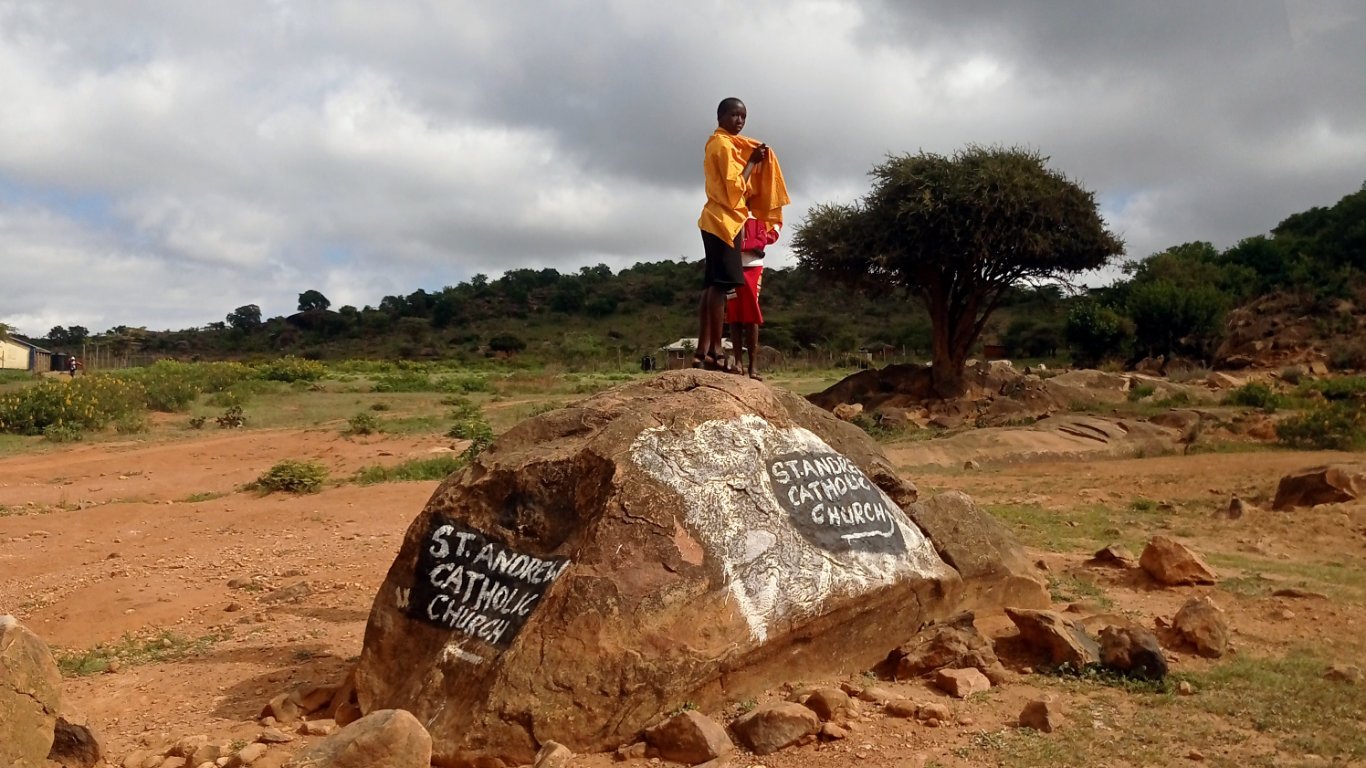 In one Laikipia forest, a community stopped speaking its own language within a single generation. What survived were the words for honey, for the honeyguide bird, for the wooden hive. Now their grandchildren are nailing those words to trees.